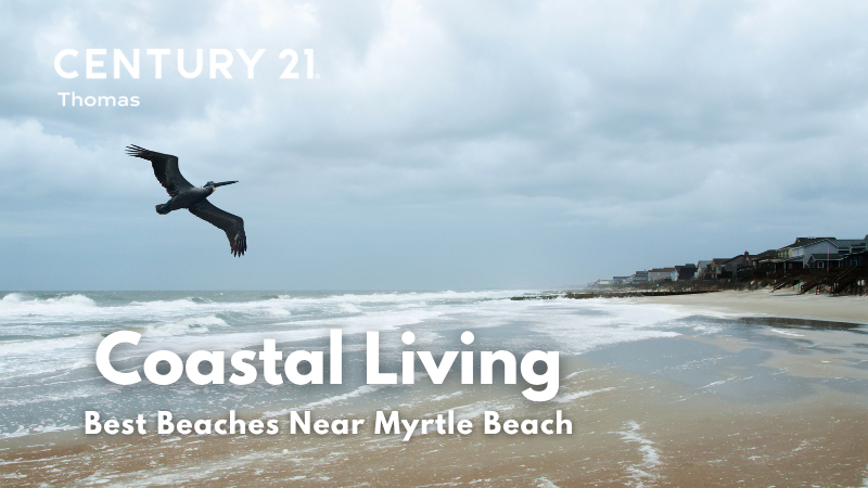 Best Beaches & Hidden Coves Near Myrtle Beach: 2026 Guide | CENTURY 21 Thomas