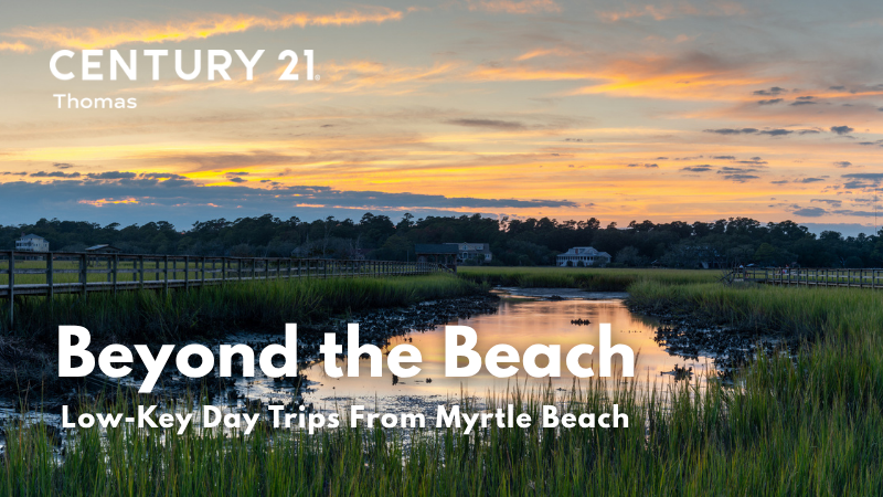 Beyond the Beach: Low-Key Day Trips From Myrtle Beach | CENTURY 21 Thomas