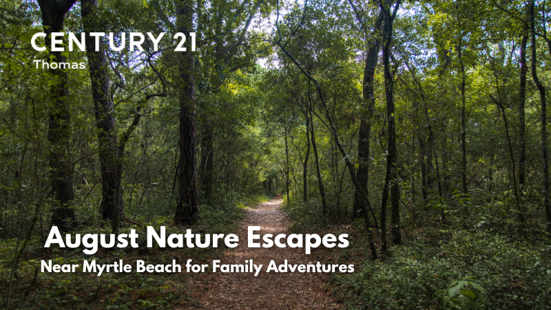 Camping, Glamping, and Nature Escapes Near Myrtle Beach for August Family Adventures | CENTURY 21 Thomas