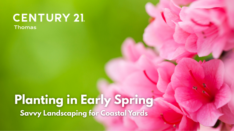 Savvy Landscaping for Coastal Yards: What to Plant in Early Spring | CENTURY 21 Thomas